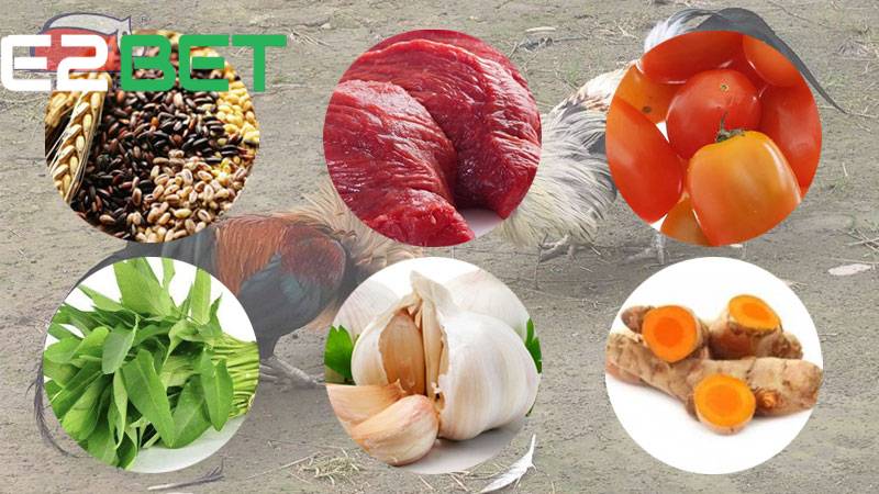 Bạn cần lên chế độ dinh dưỡng khoa học cho gà đá cựa sắt
