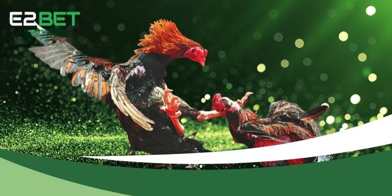 Sảnh đá gà E2BET hợp tác với các nhà cung cấp game hàng đầu thế giới